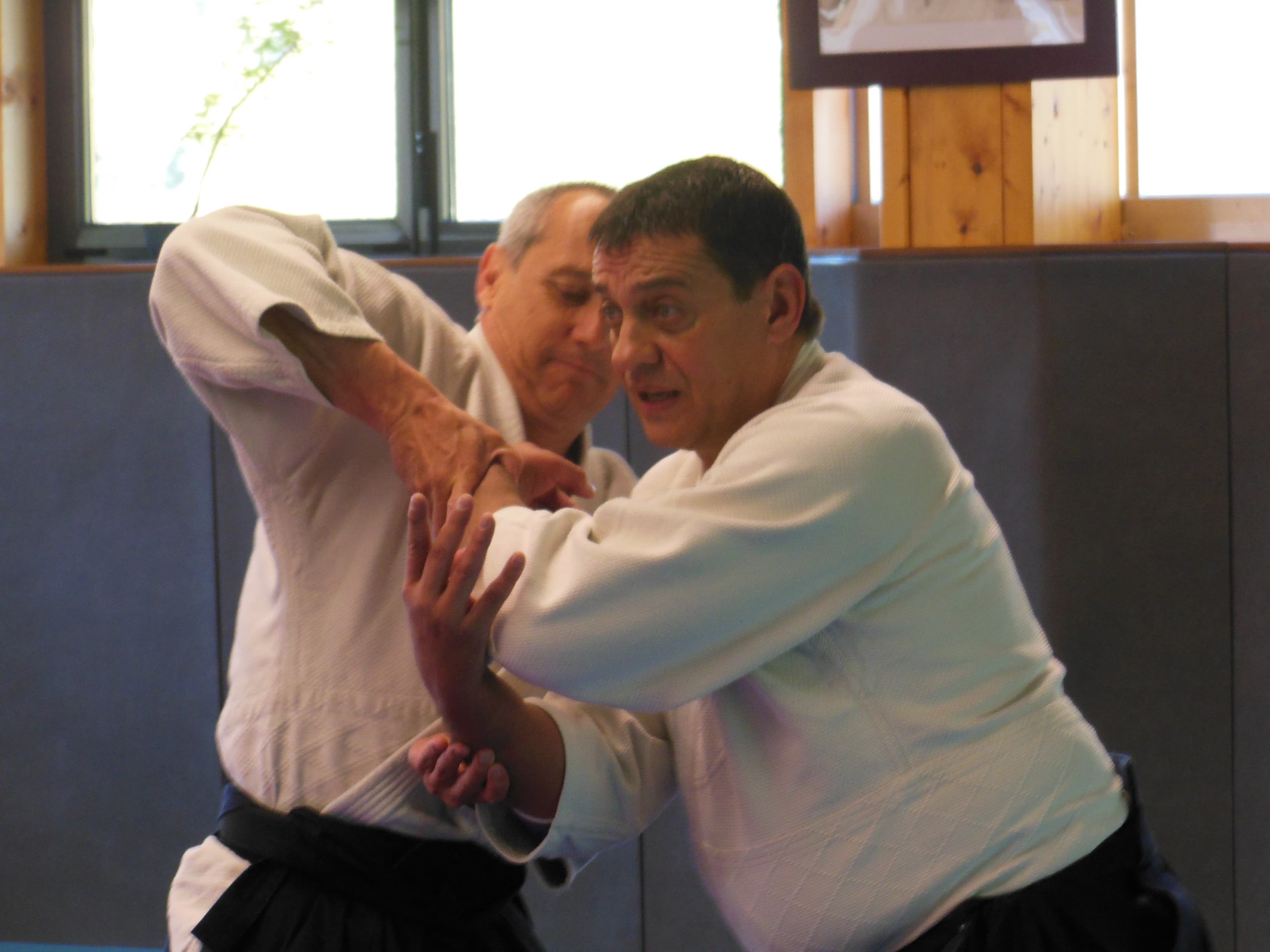 Stage Bruno Zanotti Shihan à St Rémy Bruno Zanotti Shihan