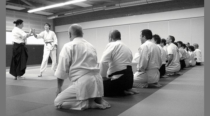 <a rel="noreferrer" title="Lien vers FFAAA" href="https://www.aikido.com.fr/" target="_blank">FFAAA</a>